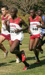 Alabama's top five runners earned All-South Region honors on Saturday.