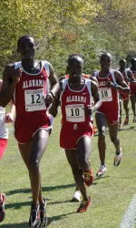 Alabama had its top five earn All-SEC and All-South Region in 2008.