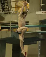 A four-year All-American, Fleshner is also a multiple Southeastern Conference Champion and the 2009 SEC Diver of the Year.