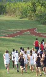 UA will again host the NCAA South Regional in 2011.