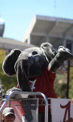The team will hold an open practice in Bryant-Denny Stadium from 2:30-4:30 p.m. Players and coaches will be available for autographs immediately after the practice on the field.