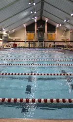 The men have inked Reece Boyd, Taylor Charles, Scott Fortier, Jacob Kelso and Carl Madden to national letters of intent, while the women have signed swimmers Bridget Blood, Caroline Korst, Bonnie Macdonald, Emma Saunders and Emily Zapinski as well as diver Taylor Zablocki.