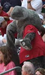 Alabama fans will stripe out Rhoads Stadium on April 5 against Missouri.