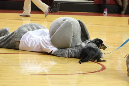 women's basketball callie's place