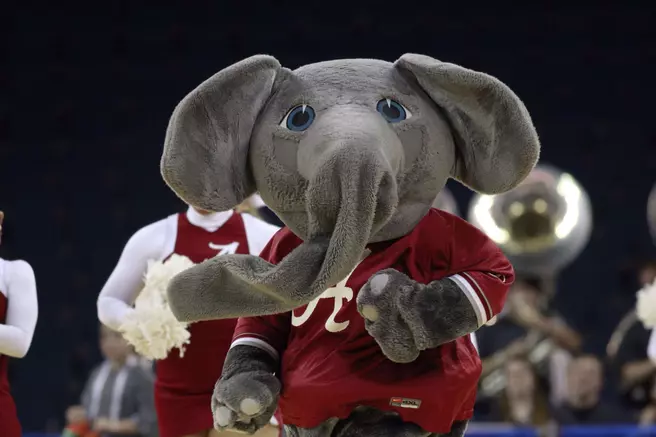The Elephant Story