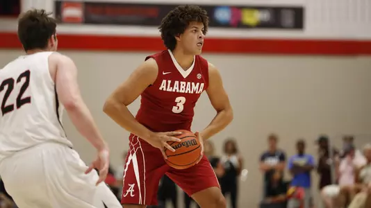 Alex Reese action