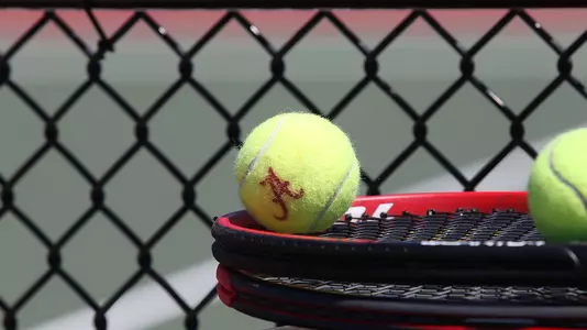 Tennis Balls and Raquet