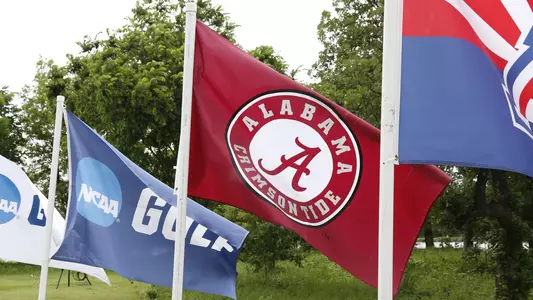 Alabama team golf flag