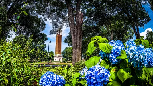 Denny Chimes