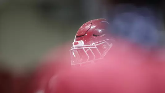 helmet