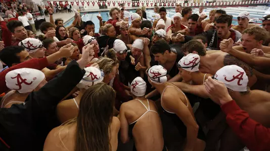 Alabama Swimming and Diving Team Cheer vs. LSU