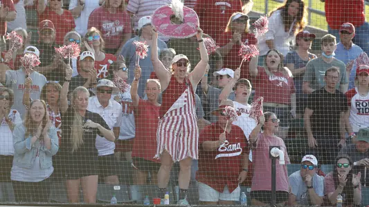 softball fans