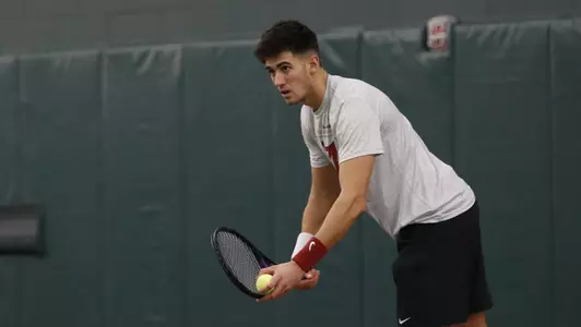 Juan Martin serving