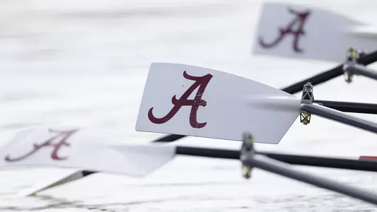Alabama rowing oar in the water
