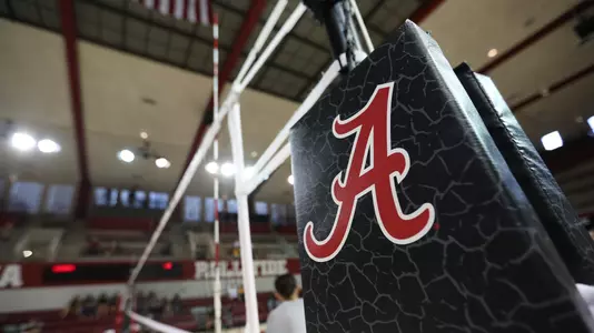 Detail shot of the volleyball net