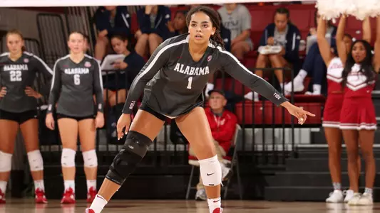 Alabama volleyball player Micah Gryniewicz preparing to hit the ball.