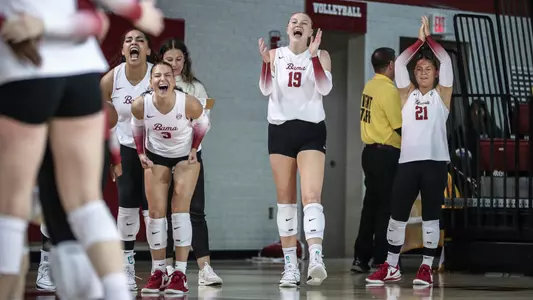 Alabama volleyball team celebrates on the bench vs. Florida (Nov. 12, 2023)