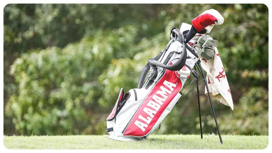 Golf bag