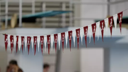 Flags printed with the script A hanging over the pool