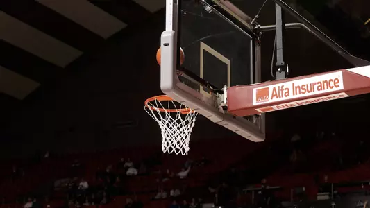 Basketball Goal