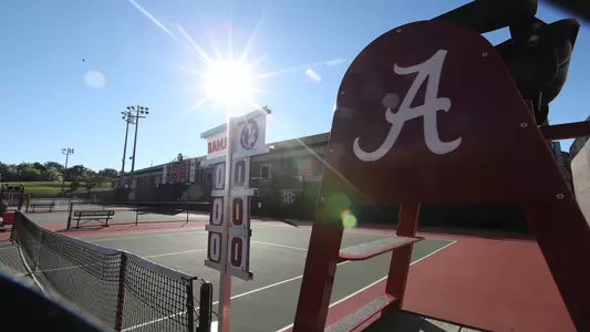 View of the court with a sunburst in the center