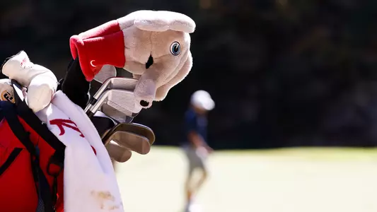 Golf bag with a Big Al cover over one of the clubs
