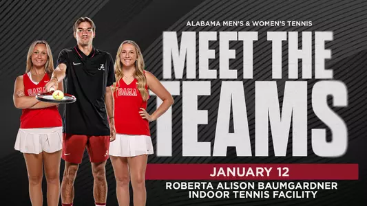 Meet the TEam graphic