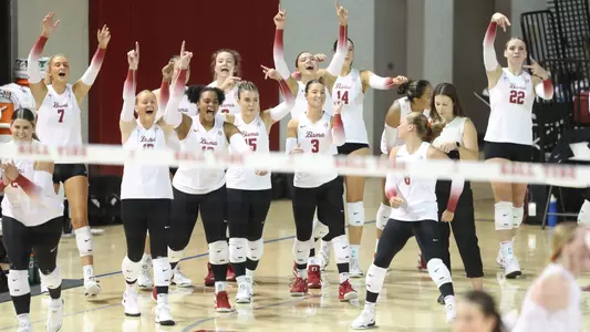 The Alabama volleyball bench celebrates vs. Georgia (Oct. 6, 2024)