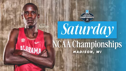Alabama Cross Country graphic 2024 NCAA Championships