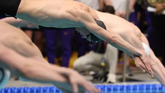 Charlie Hawke 800 free dive