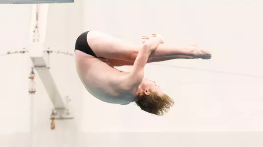 Peter Edin diving