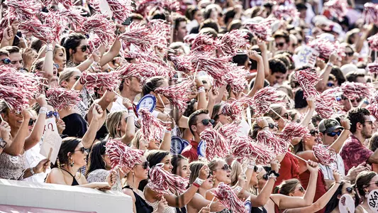 Fans cheering at Bryant-Denny Stadium