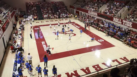 Overview of the volleyball court