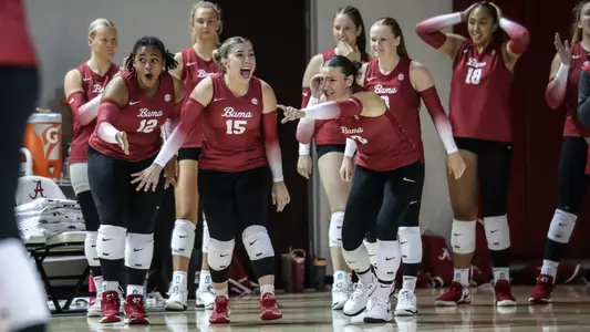 The Alabama volleyball bench reacts to a point vs. UT Martin (Aug. 31, 2024)