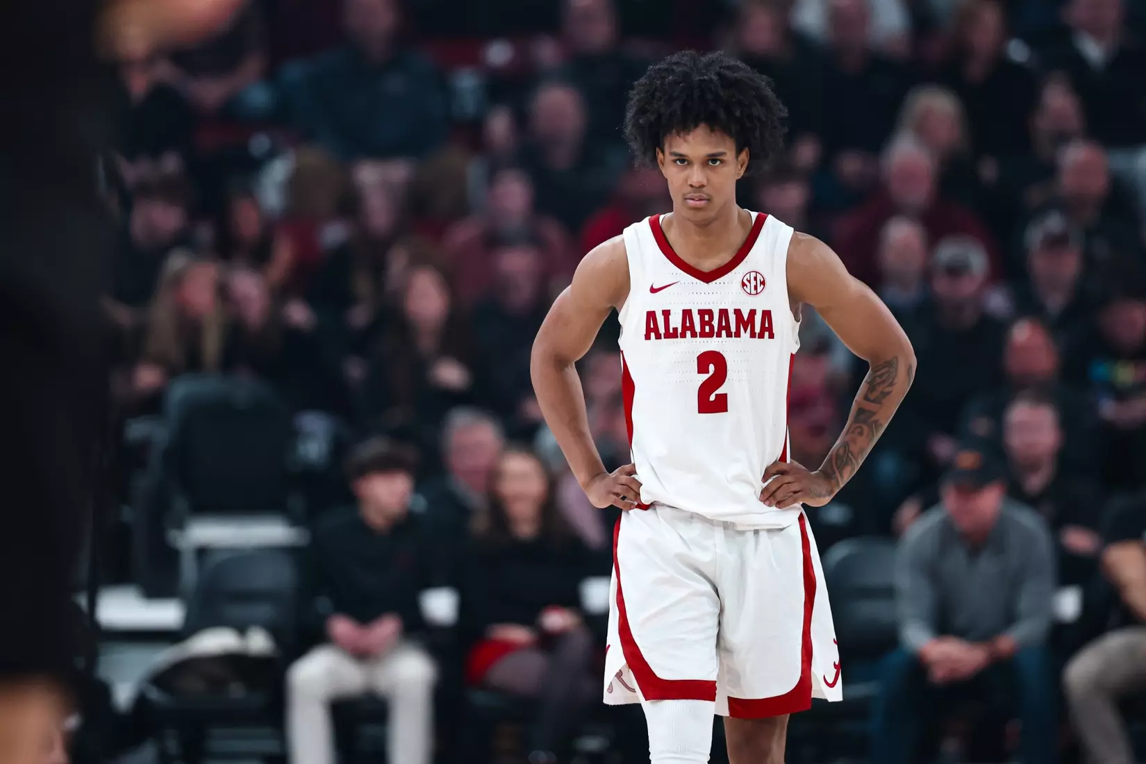 Alabama guard Aden Holloway (2) in action against MSU at Humphrey Coliseum in Starkville, Mississippi on Wednesday, Jan 29, 2025.