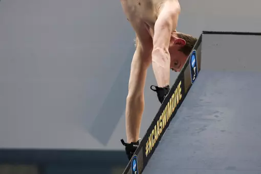 Alabama Diver Nigel Chambers during NCAA Championships at Weyerhaeuser King County Aquatic Center in Federal Way, Wa on Friday, Mar 28, 2025.