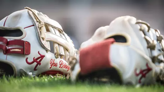 Close up photo of two gloves in the grass (April 4, 2025)