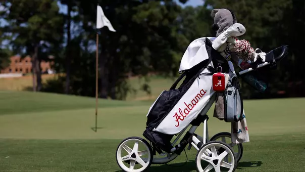 Women's Golf 2024-25 Golf Bag