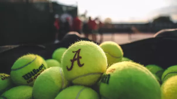 Tennis ball