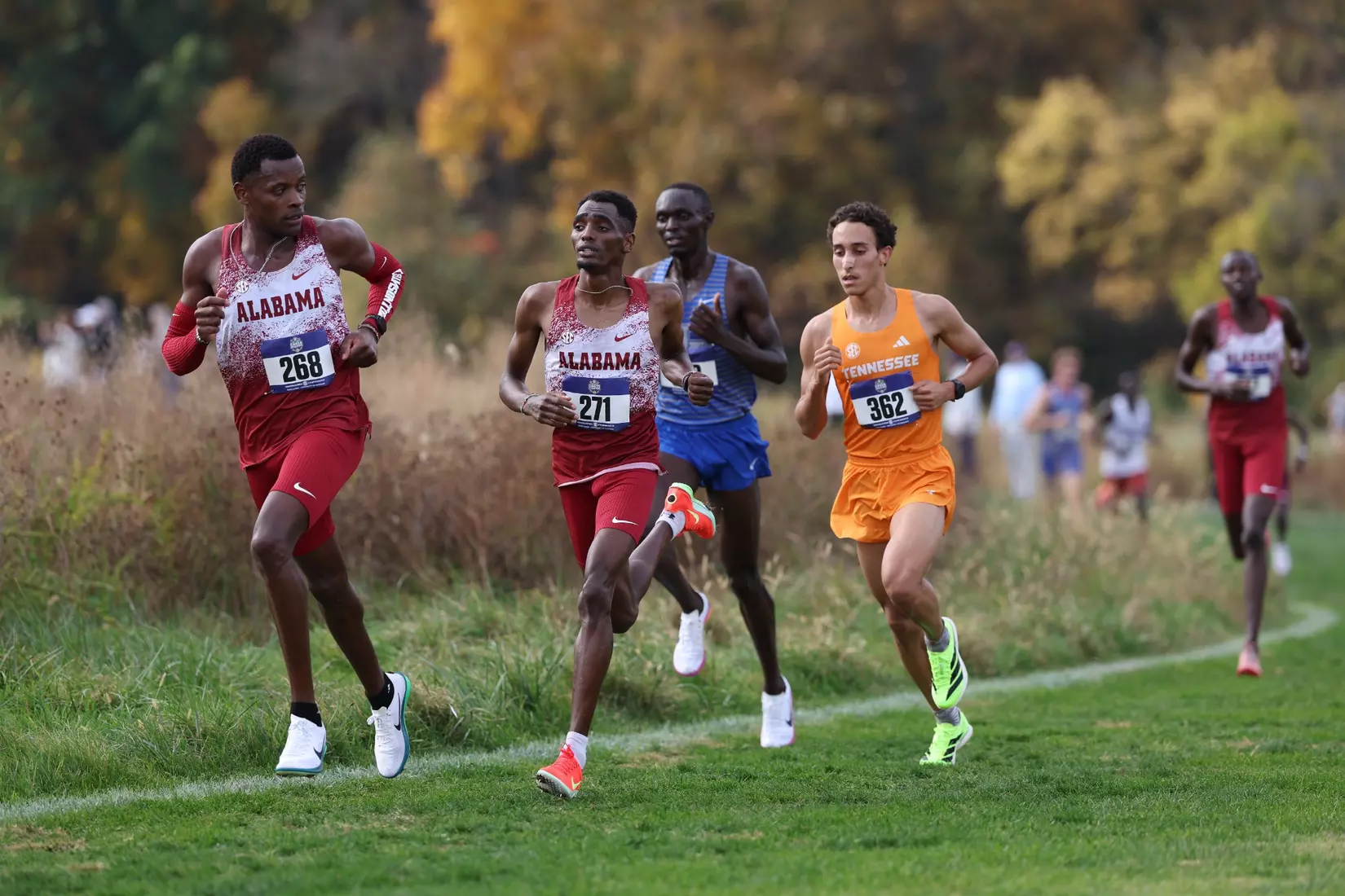 Alabama Track Athlete Bismack Kipchirchir competes during the SEC Cross Country Championships at Gans Creek Cross Country Course in Columbia, MO on Friday, Oct 30, 2026.