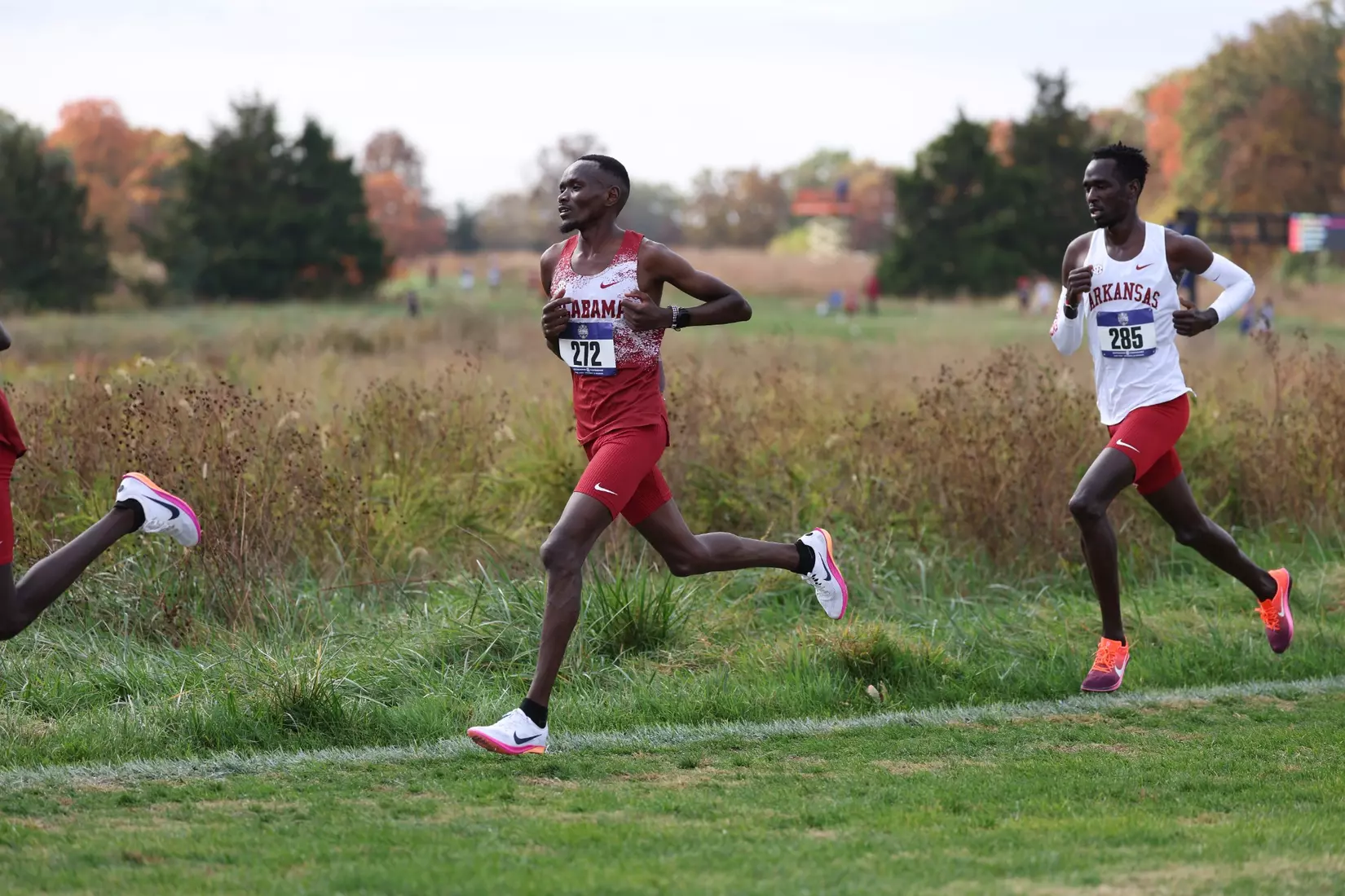 Alabama Track Athlete Dennis Kipruto competes during the SEC Cross Country Championships at Gans Creek Cross Country Course in Columbia, MO on Friday, Oct 30, 2026.