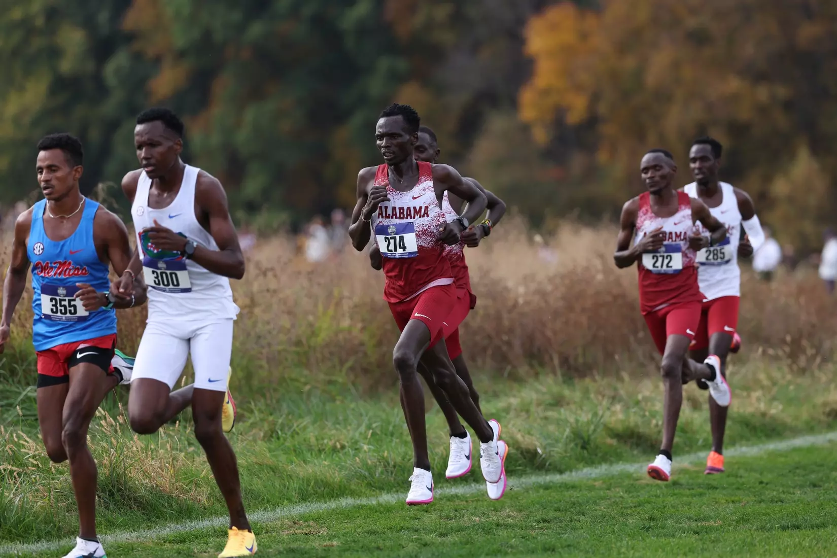 Alabama Track Athlete Dismus Lokira competes during the SEC Cross Country Championships at Gans Creek Cross Country Course in Columbia, MO on Friday, Oct 30, 2026.