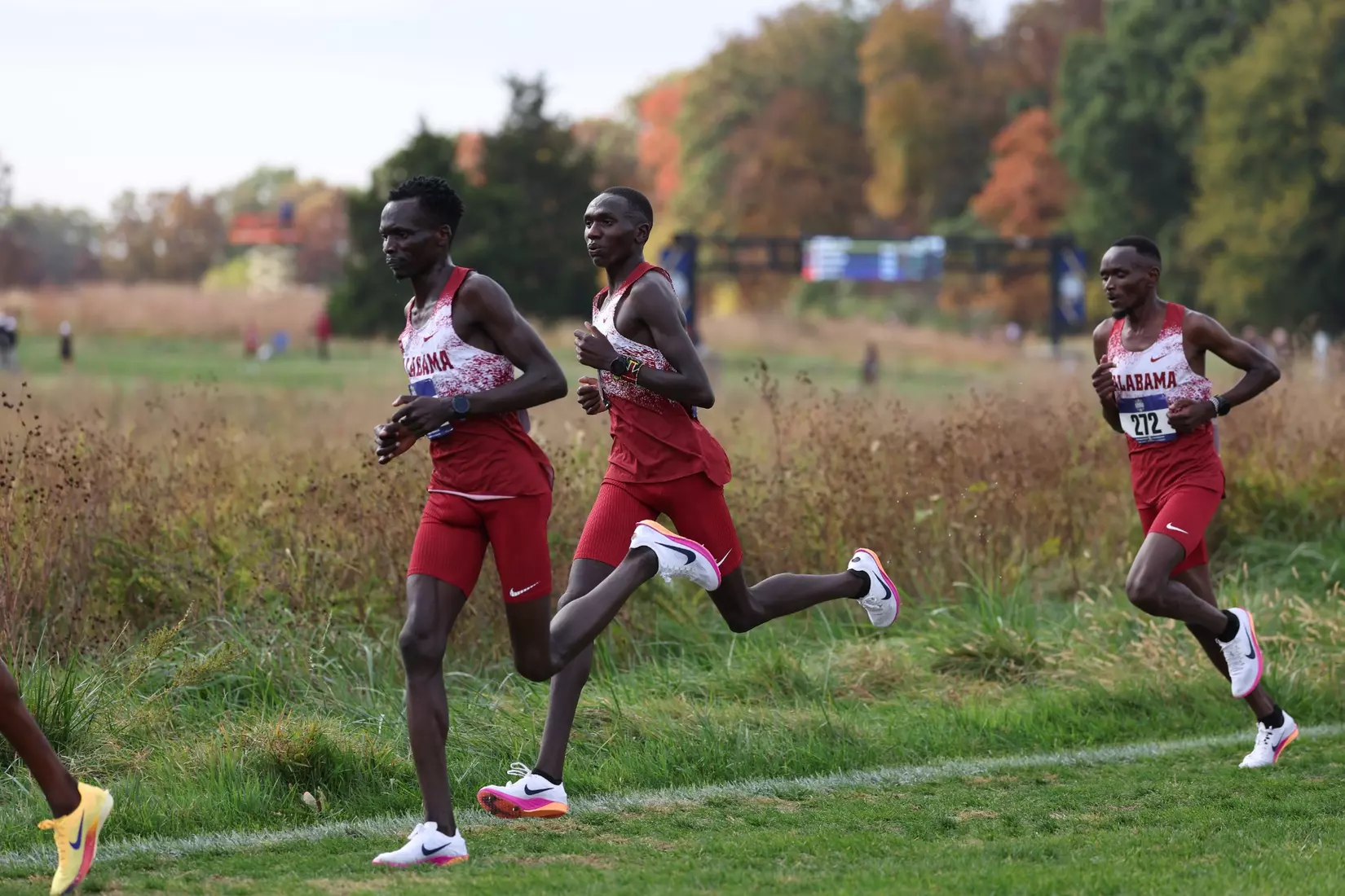 The University of Alabama Men's Cross Country Team competes during the SEC Cross Country Championships at Gans Creek Cross Country Course in Columbia, MO on Friday, Oct 30, 2026.