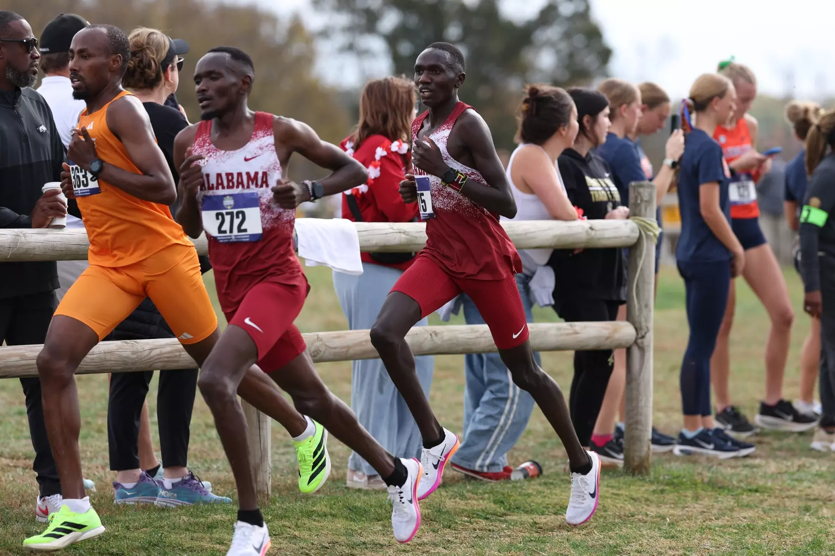 Alabama Track Athlete Rodgers Plimo competes during the SEC Cross Country Championships at Gans Creek Cross Country Course in Columbia, MO on Friday, Oct 30, 2026.