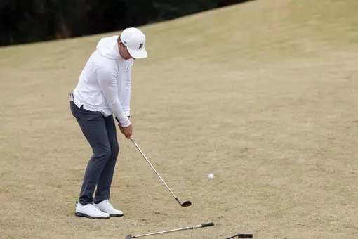 Jonathan Griz chipping