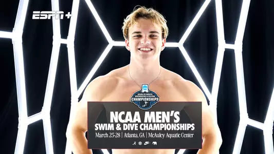 Tim Korstanje on creative background