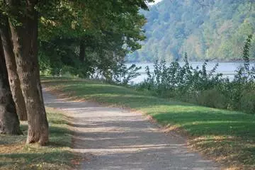Trail