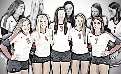 2014 VB Seniors