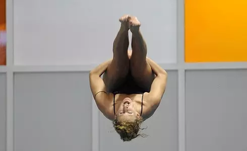 Hickling CCSA 14 1-meter