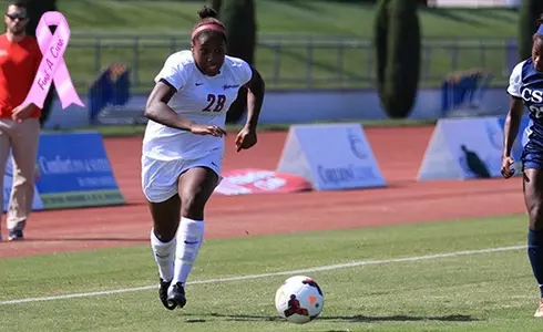 Kendall CSU - bca